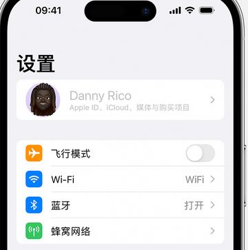 嵊州appleID维修服务iPhone设置中Apple ID显示为灰色无法使用 