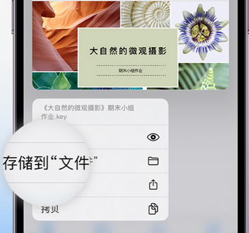 嵊州apple维修中心分享iPhone文件应用中存储和找到下载文件