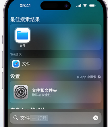 嵊州apple维修中心分享iPhone文件应用中存储和找到下载文件 