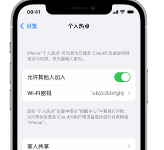 嵊州apple服务站点分享iPhone上个人热点丢失了怎么办 