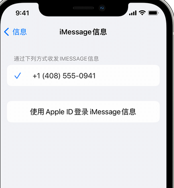 嵊州apple维修iPhone上无法正常发送iMessage信息 