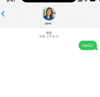 嵊州apple维修iPhone上无法正常发送iMessage信息