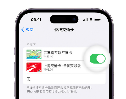 嵊州apple维修点分享iPhone上更换Apple Pay快捷交通卡手绘卡面 