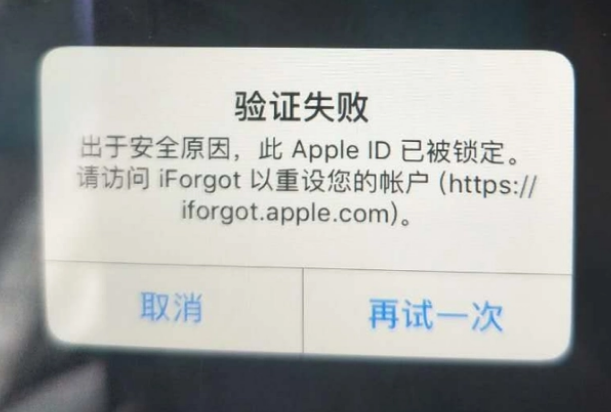 嵊州iPhone维修分享iPhone上正常登录或使用AppleID怎么办 