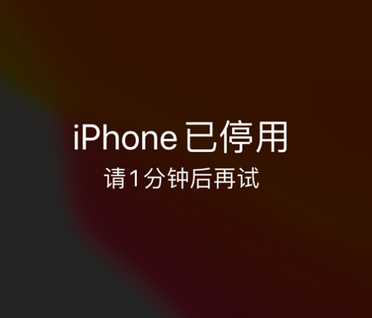 嵊州苹果手机维修分享:iPhone 显示“不可用”或“已停用”怎么办？还能保留数据吗？ 