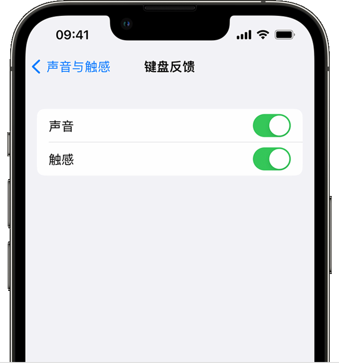 嵊州苹果14维修店分享如何在 iPhone 14 机型中使用触感键盘 