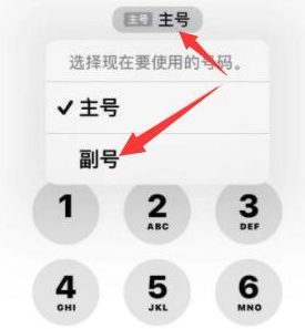 嵊州苹果14维修店分享iPhone 14 Pro Max使用副卡打电话的方法 