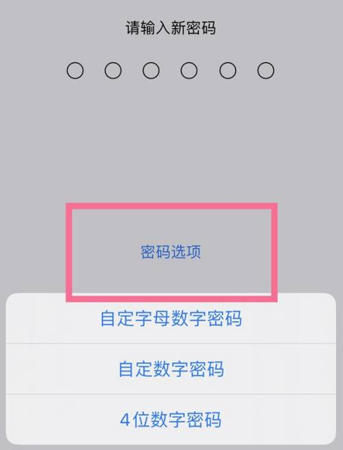 嵊州苹果14维修分享iPhone 14plus设置密码的方法 