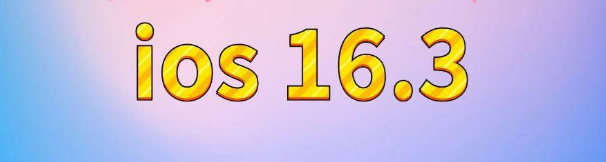 嵊州苹果服务网点分享苹果iOS16.3升级反馈汇总 