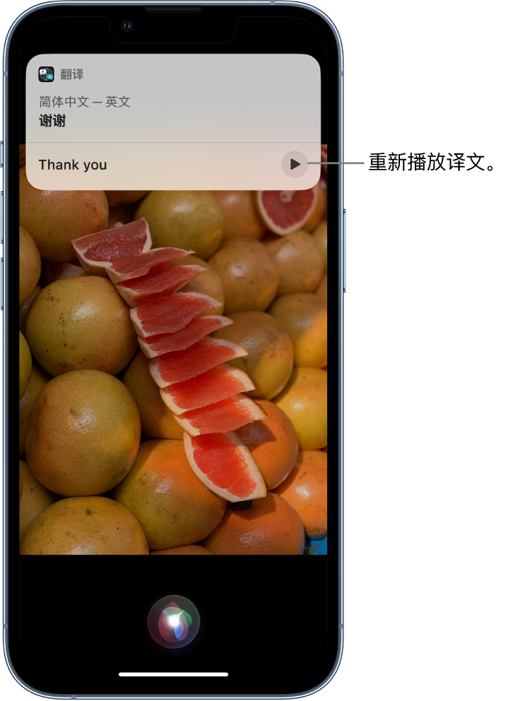 嵊州苹果14维修分享 iPhone 14 机型中使用 Siri：了解 Siri 能帮你做什么 