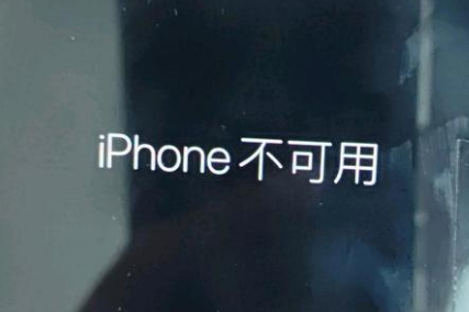 嵊州苹果服务网点分享锁屏界面显示“iPhone 不可用”如何解决 