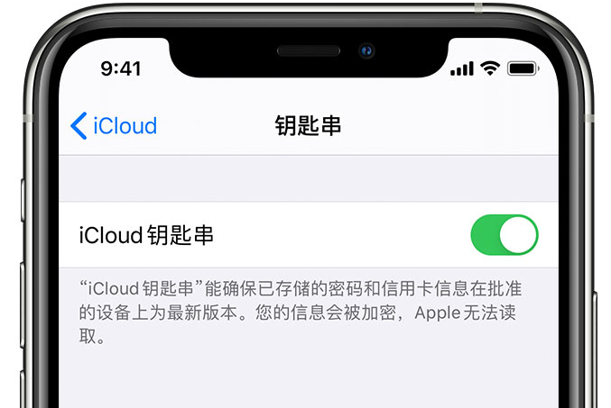 嵊州苹果手机维修分享在 iPhone 上开启 iCloud 钥匙串之后会储存哪些信息 