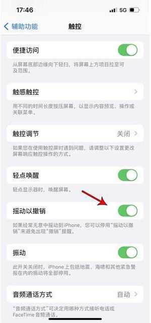 嵊州苹果手机维修分享iPhone手机如何设置摇一摇删除文字 