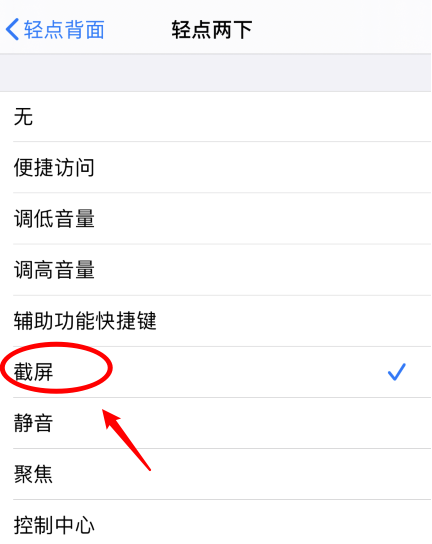 嵊州苹果手机维修分享iPhone12如何启用双击截屏 