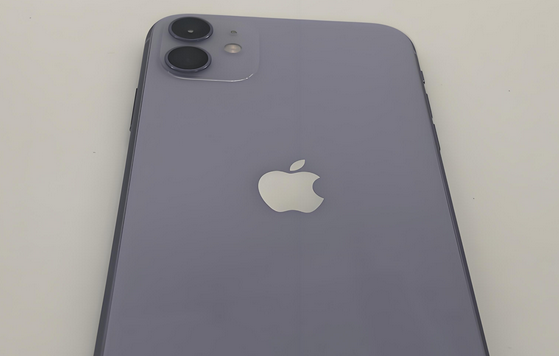 嵊州苹果11系统维修分享iPhone11手机系统崩溃无法开机如何解决 